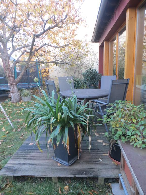 Gartenhaus Klotzsche Dresden Exteriör bild